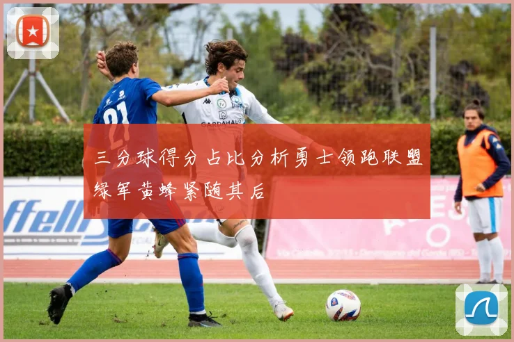 三分球得分占比分析勇士领跑联盟绿军黄蜂紧随其后