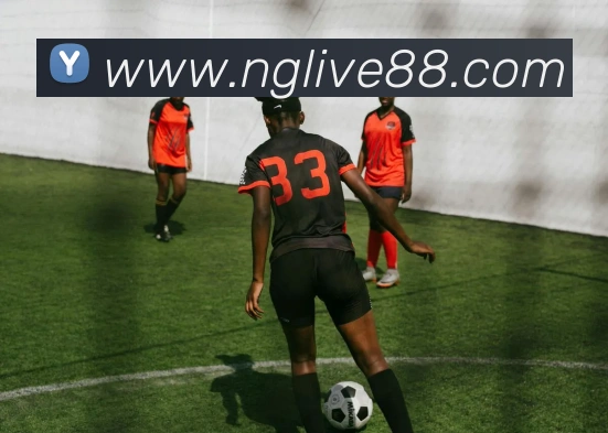 App Interface Preview