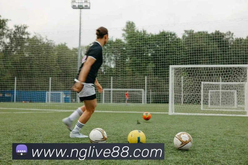 NG体育APP 封面图